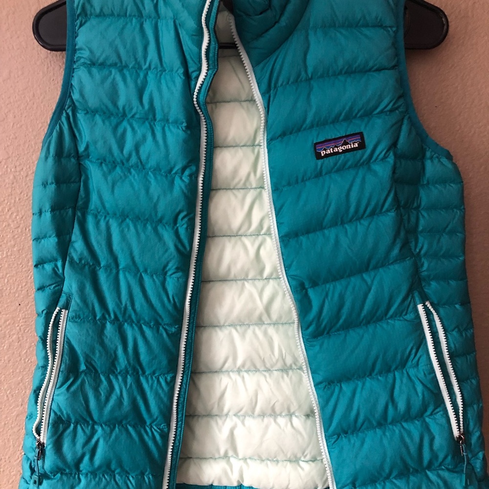 Patagonia blue vest